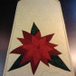 poinsetta