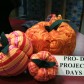 Pro-D day projects!